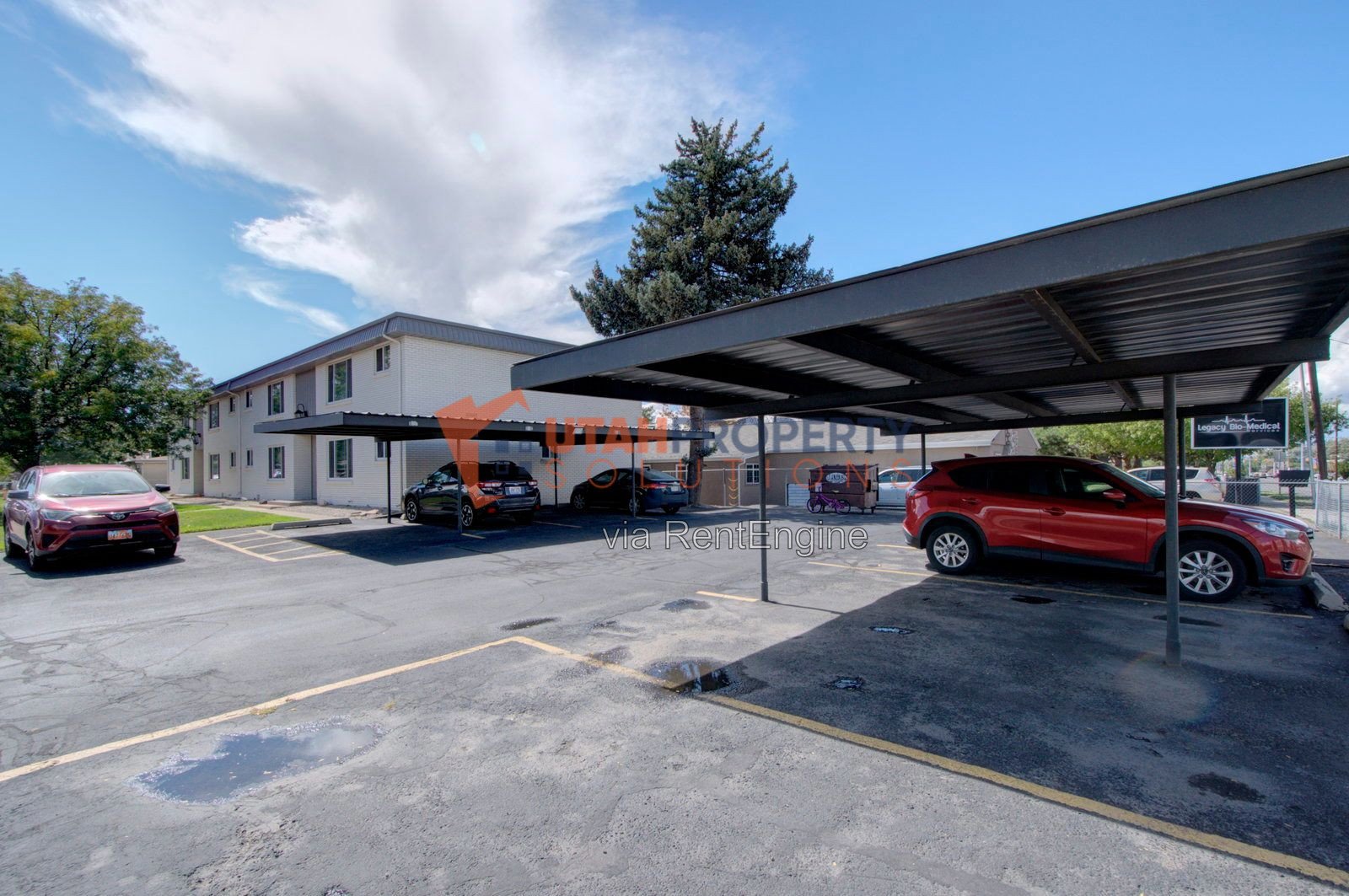 Beautiful Pet-Friendly Apartment in Salt Lake! property image