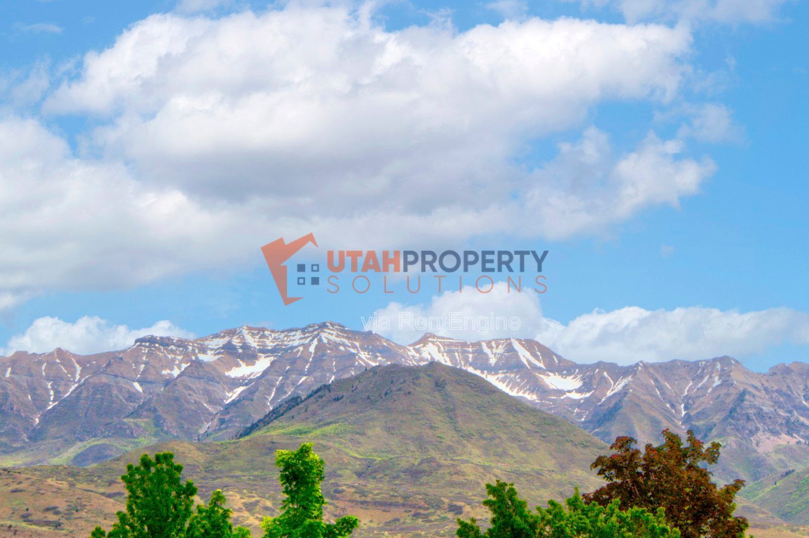 Pet Friendly 4 Bedroom Home in Orem! property image