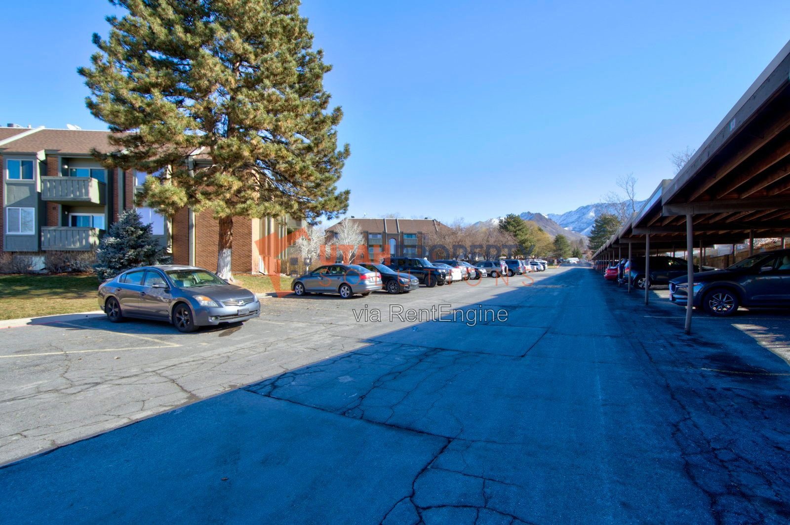 Charming, Pet-friendly Condo in Foothill! property image
