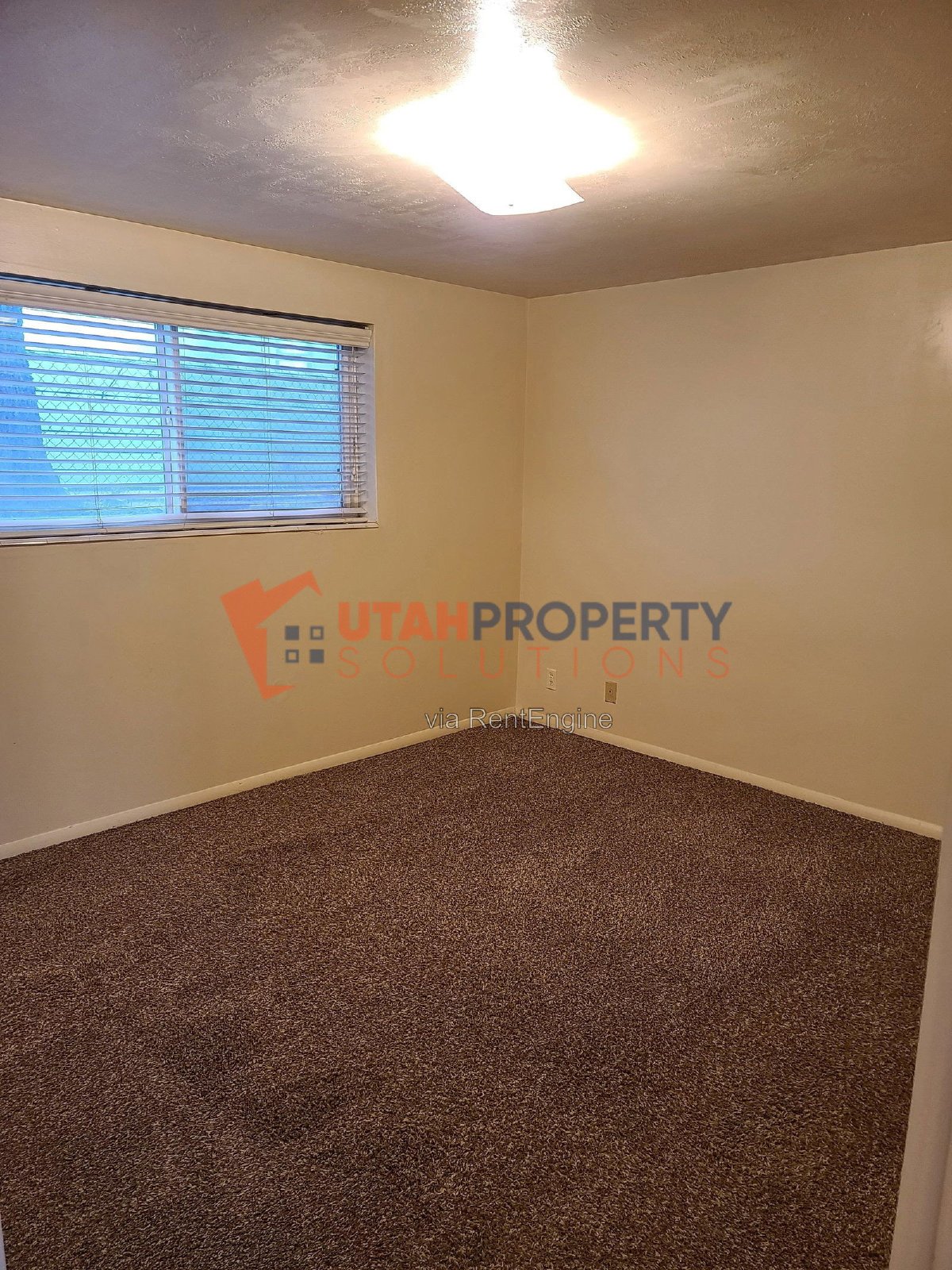 Pet Friendly Apartment in Murray!! property image