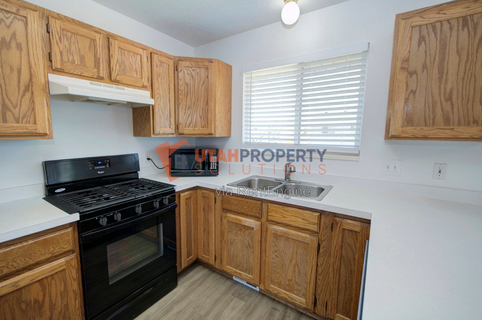 Pet Friendly Single Family Home In American Fork! property image