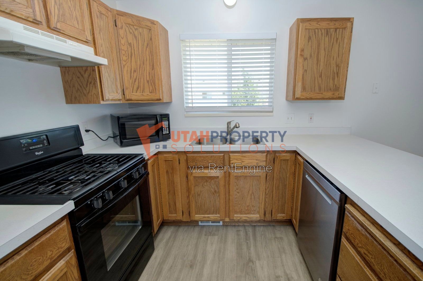 Pet Friendly Single Family Home In American Fork! property image