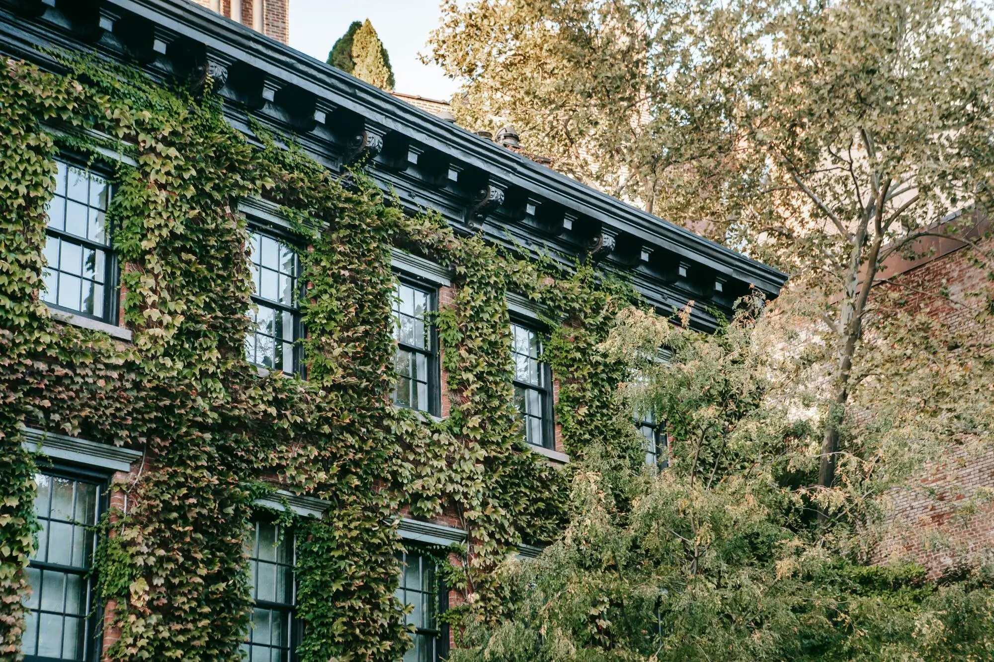 Ways to Streamline Your Salt Lake City Rent Collection Process